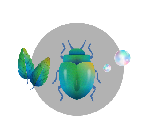 beetle and bubbles